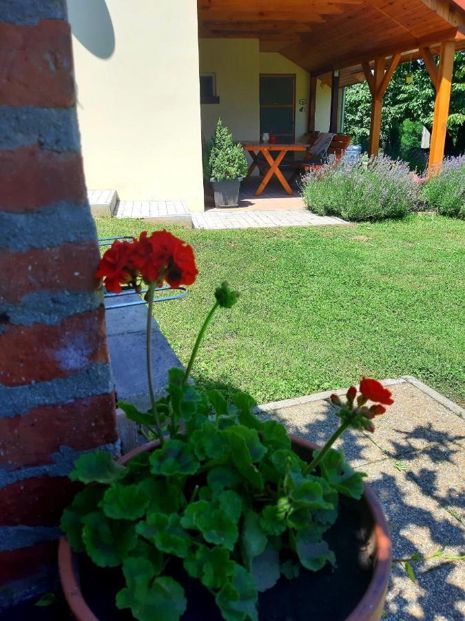 Boglarka Vendeghaz * Vasvar